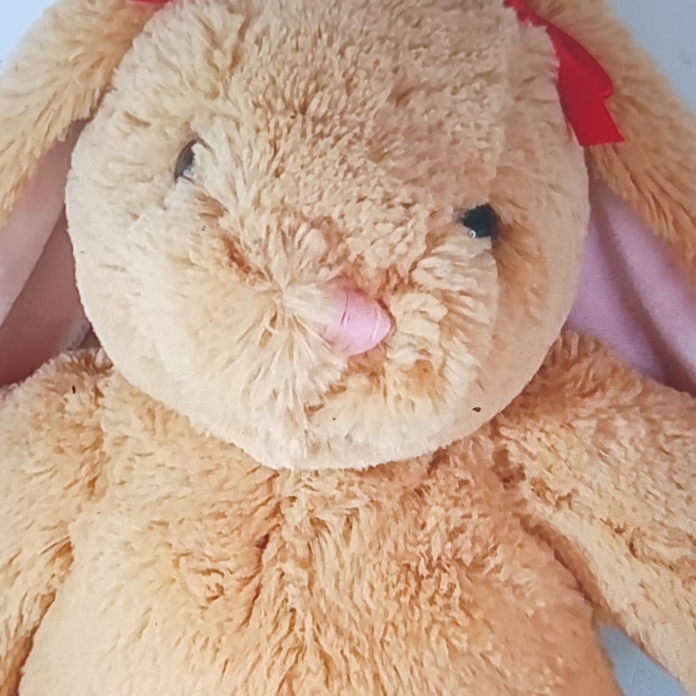 Build a bear plush bunny plush